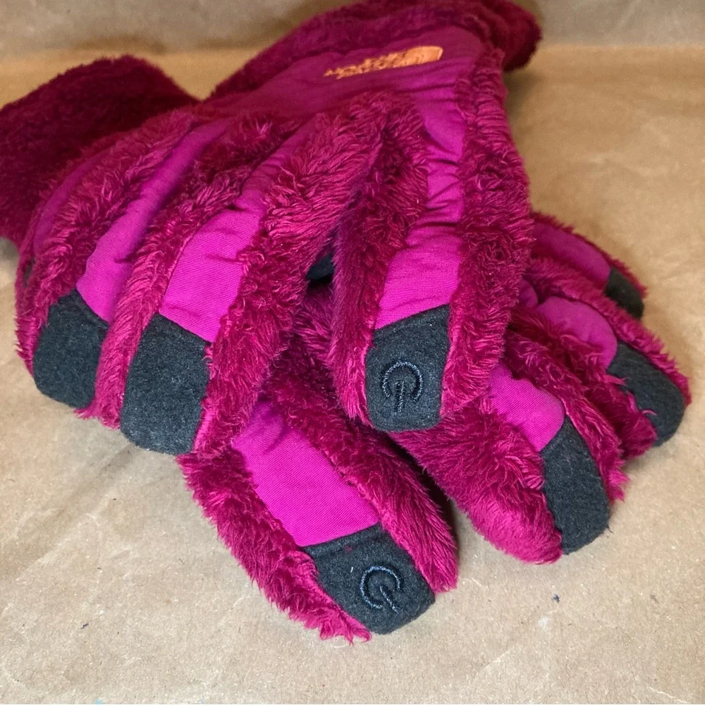 North face gloves